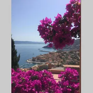 Panoramico: Ulivi E Sole Porto Santo Stefano (Grosseto)